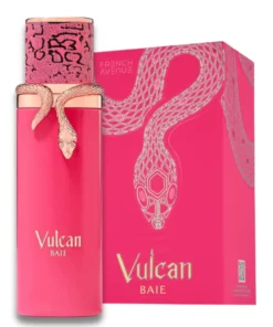 Alternative view of French Avenue Vulcan Baie EDP