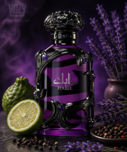 Lattafa Habik For Men Eau de Parfum – modern férfi illat fűszeres, aromás és fás jegyekkel elegáns üvegben.